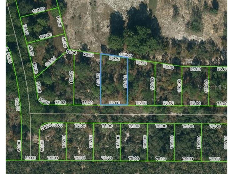 136 Claverland Drive Lake Placid FL 33852 OM624630 image1