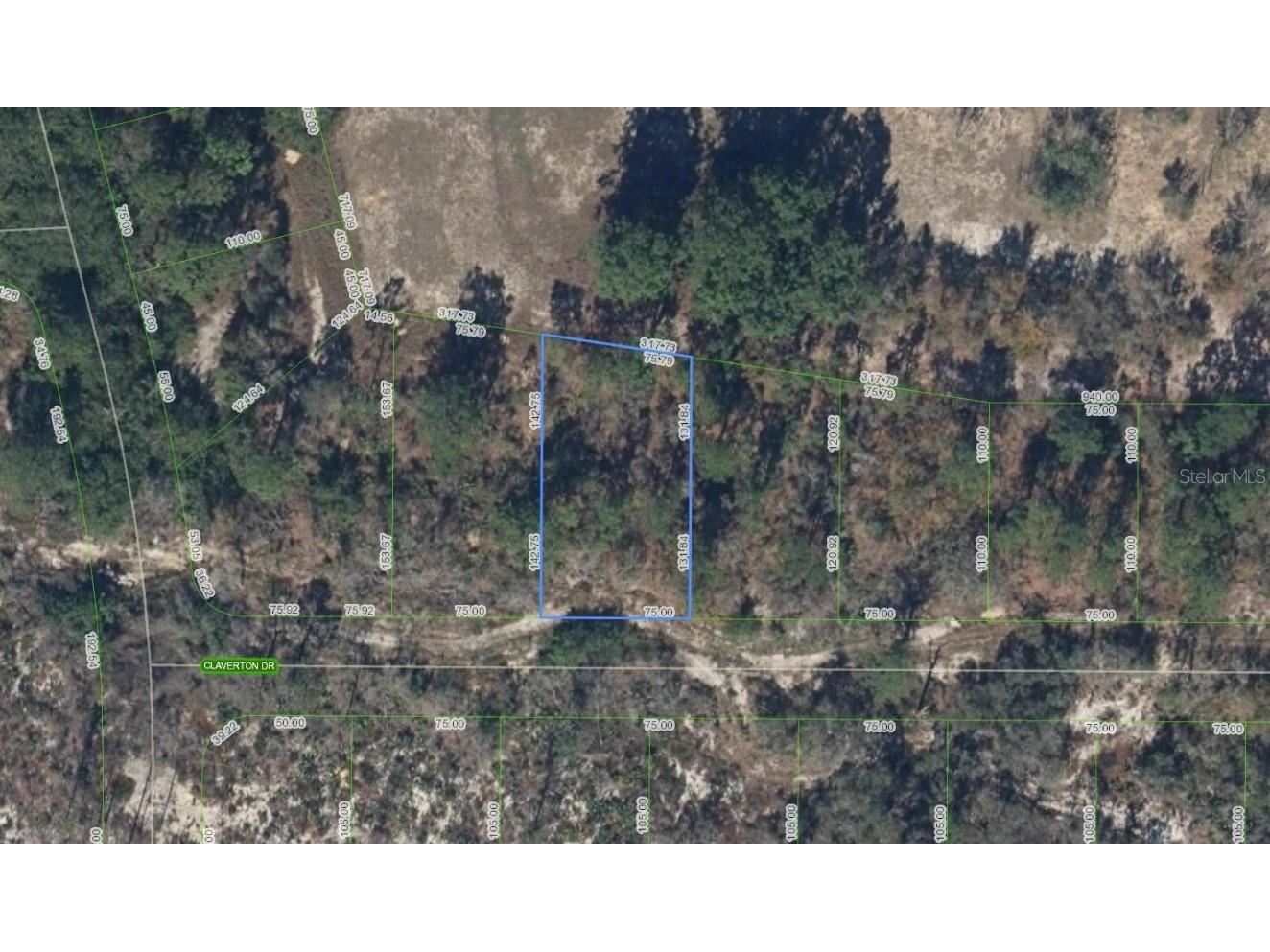 136 Claverton Drive Lake Placid FL 33852 OM713431 image1