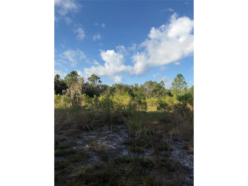 136 Dummonds Road Frostproof FL 33843 O6360316 image1