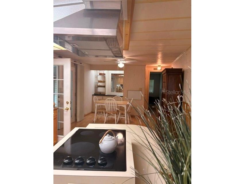 136 Forest Lane #4 Safety Harbor FL 34695 TB8505165 image6