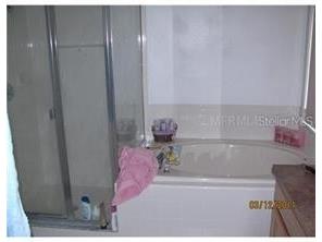 136 Grantham Drive Davenport FL 33897 S5147227 image10