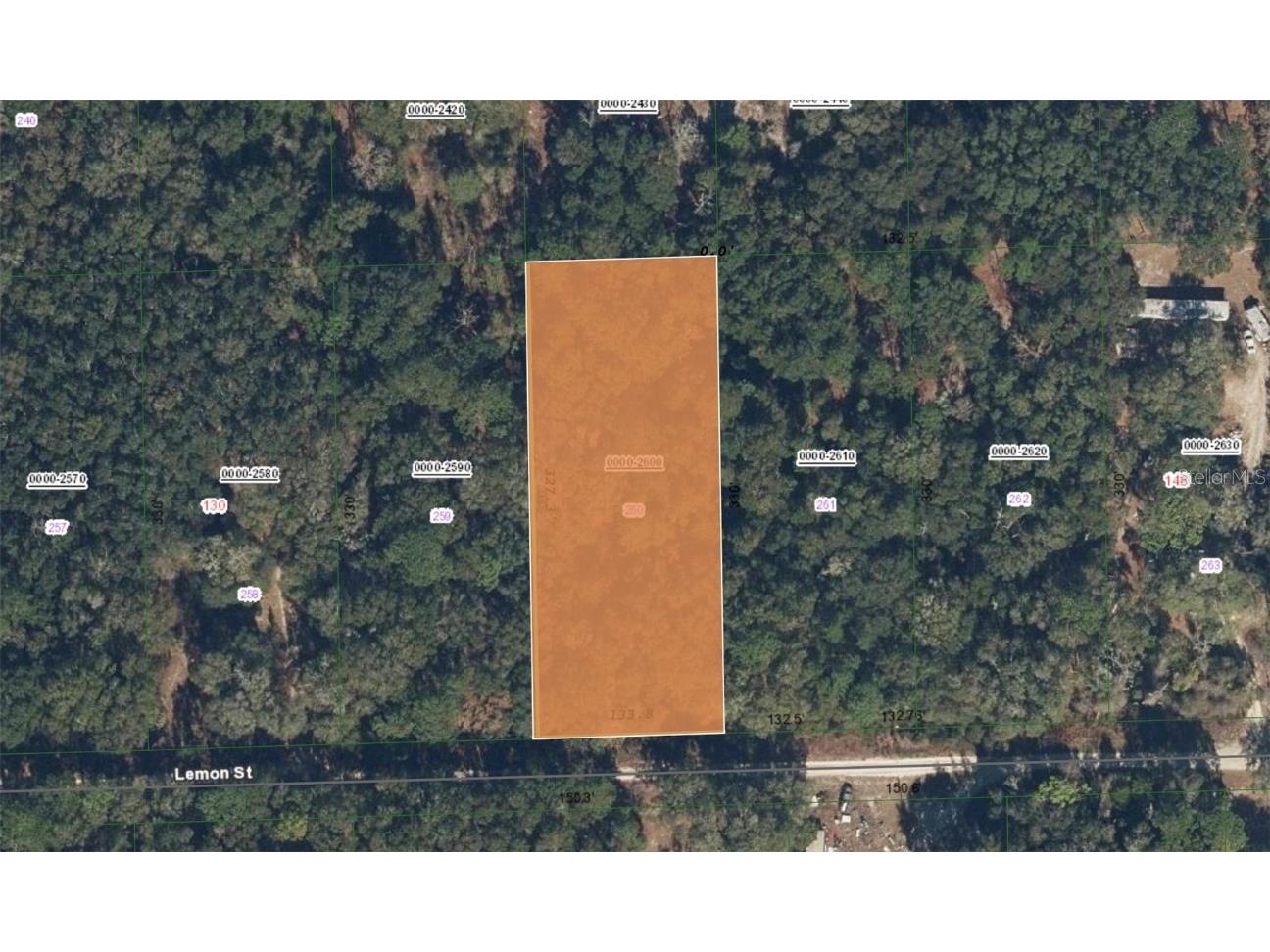 136 Lemon Street Pomona Park FL 32181 V4938655 image1