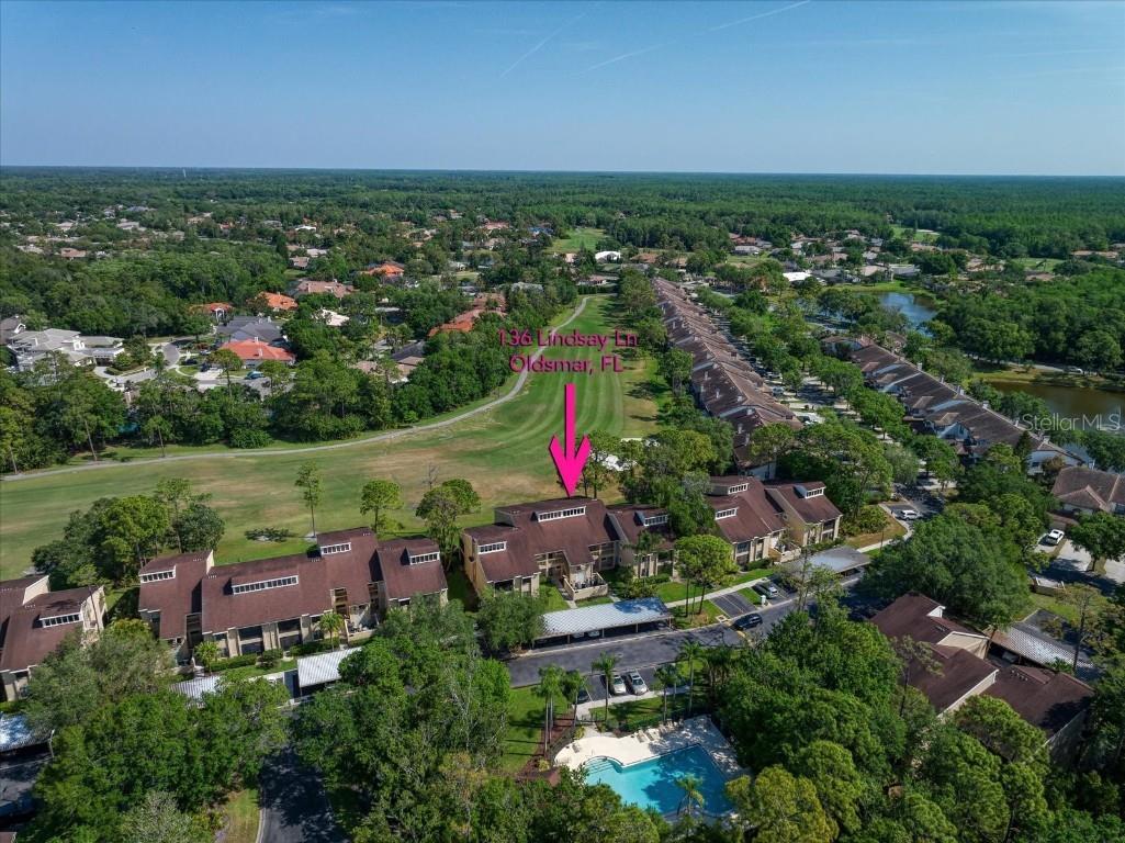136 Lindsay Lane #46 Oldsmar FL 34677 U8196673 image1