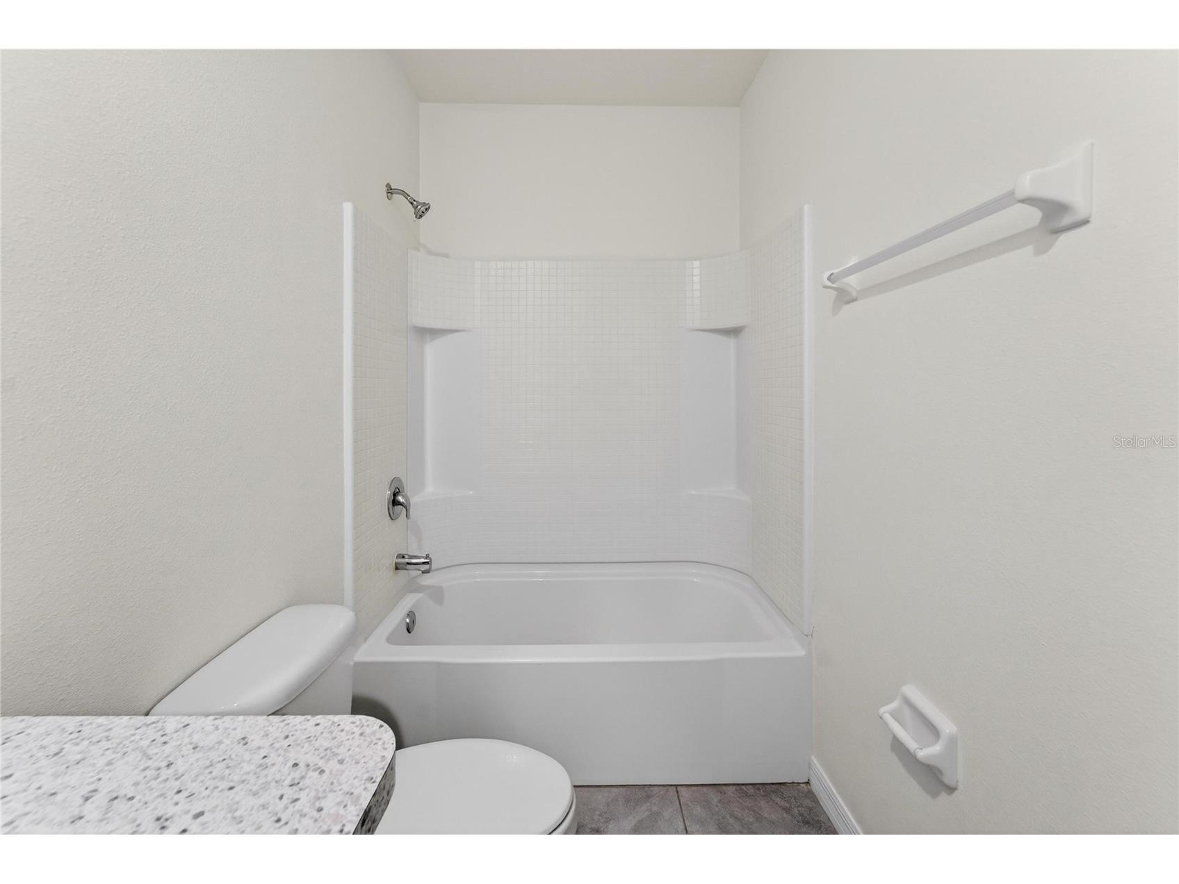 136 Mangrove Shade Circle Apollo Beach FL 33572 TB8501761 image34