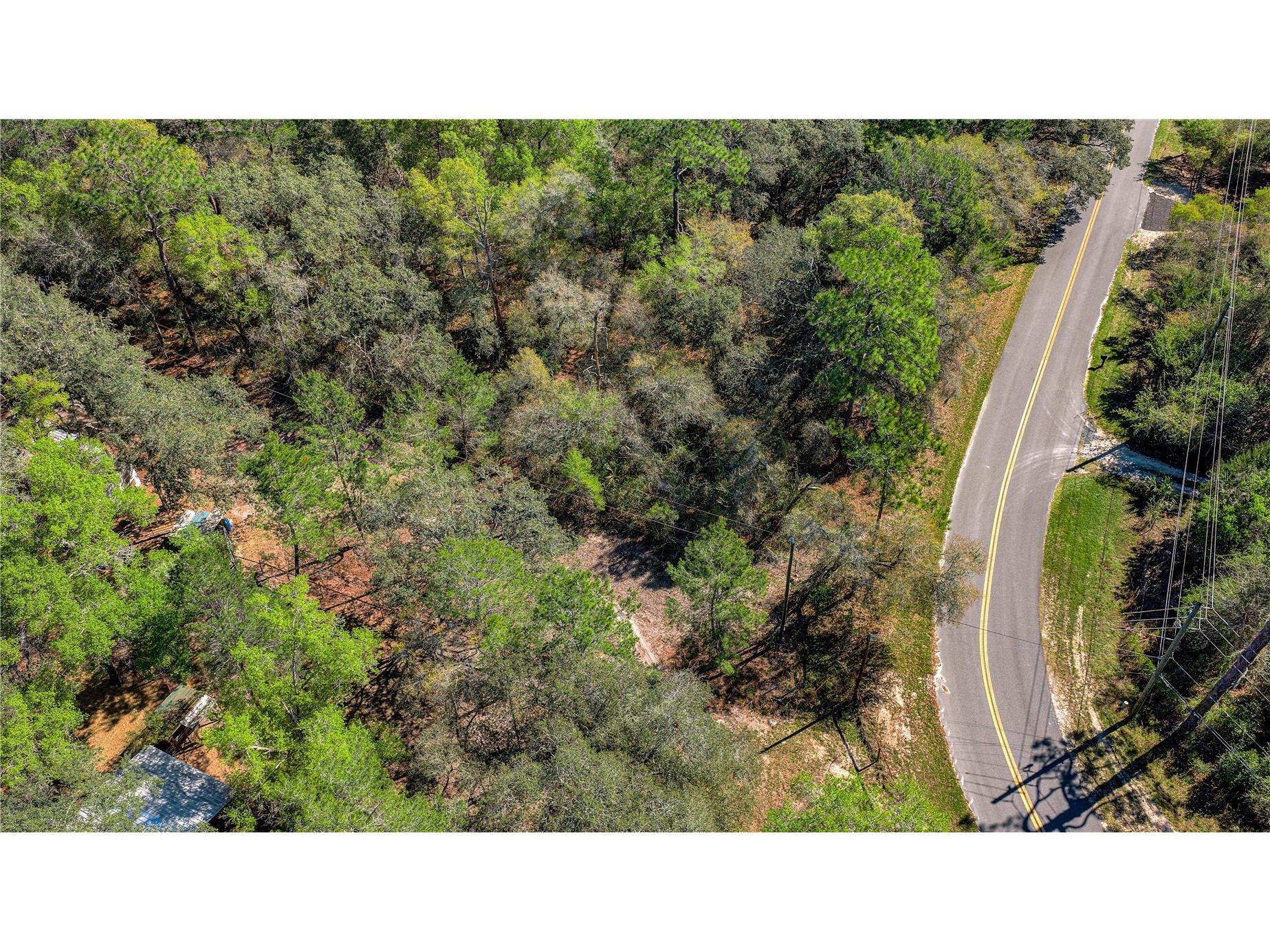 136 Marlin Road Pomona Park FL 32181 A4687418 image13