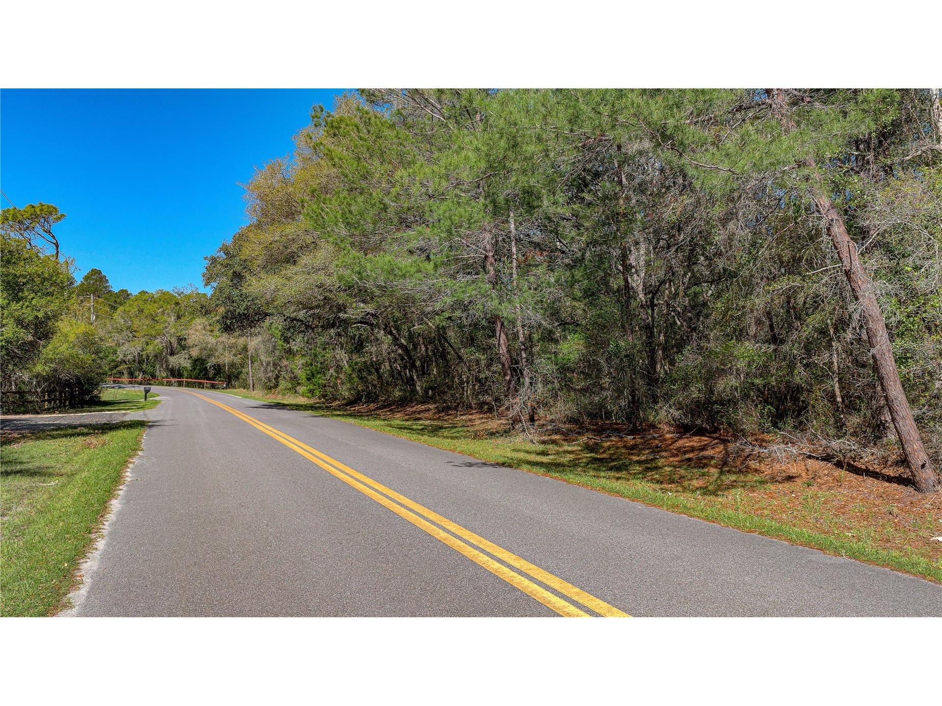 136 Marlin Road Pomona Park FL 32181 A4687418 image7