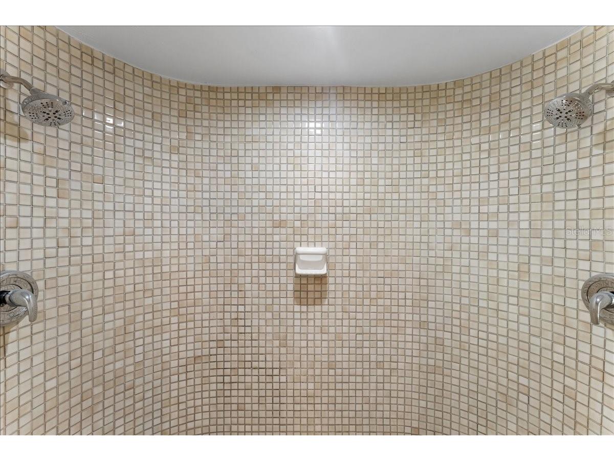 136 Sheffield Circle E Palm Harbor FL 34683 TB8512808 image33