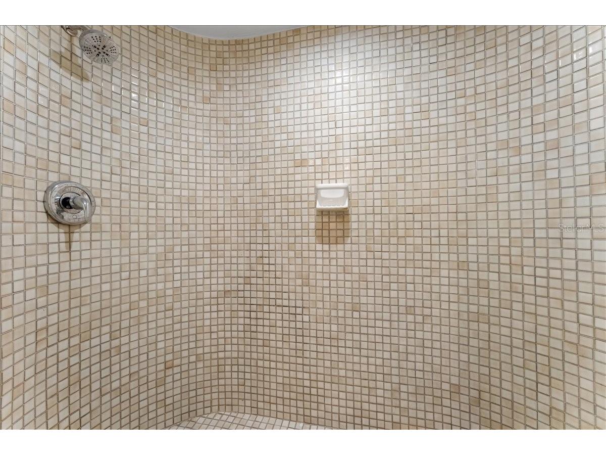 136 Sheffield Circle E Palm Harbor FL 34683 TB8512808 image34