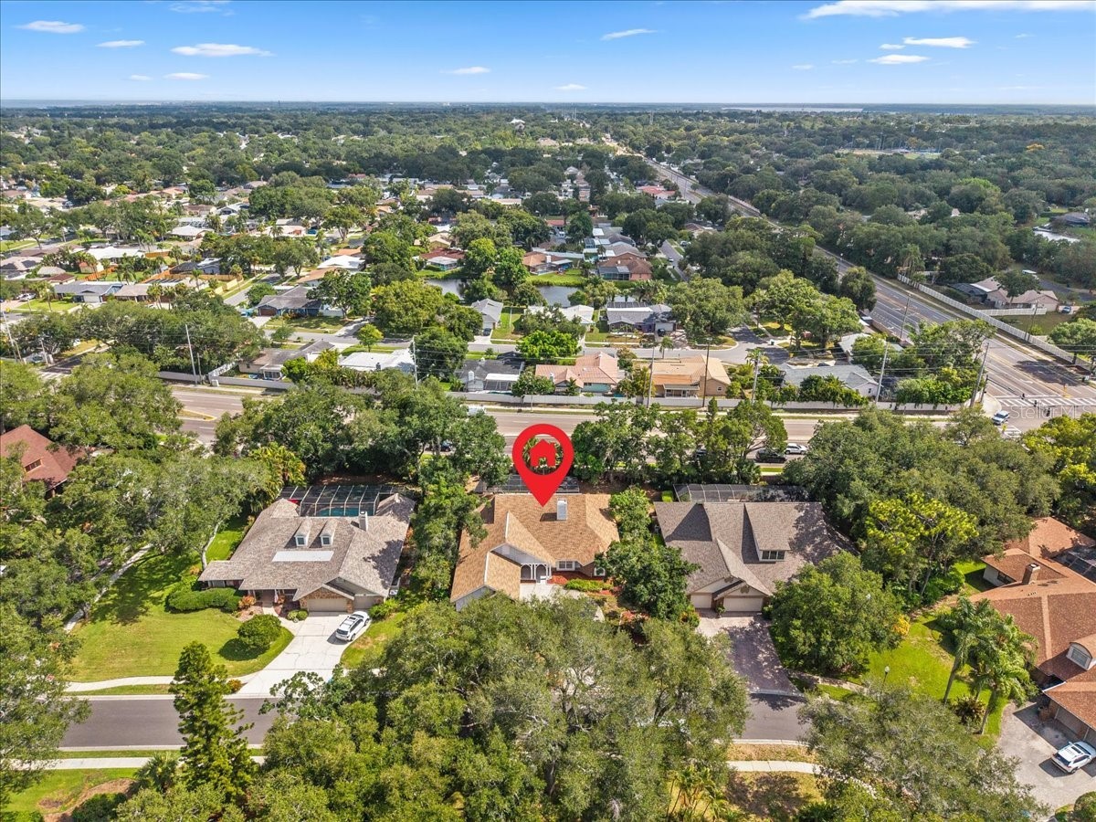 136 Sheffield Circle E Palm Harbor FL 34683 TB8512808 image63