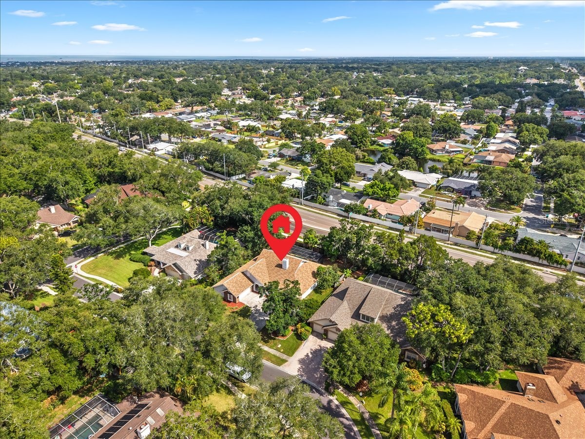 136 Sheffield Circle E Palm Harbor FL 34683 TB8512808 image64