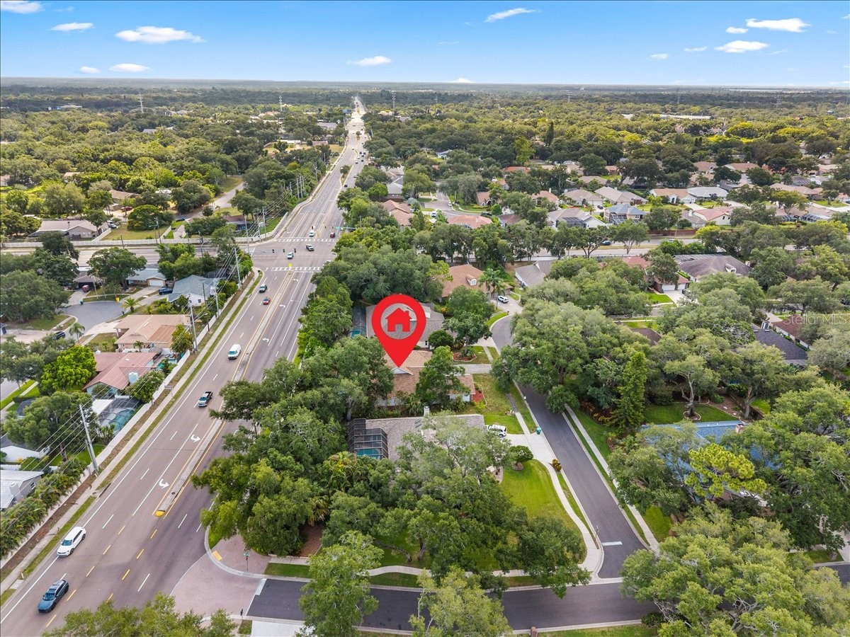 136 Sheffield Circle E Palm Harbor FL 34683 TB8512808 image69