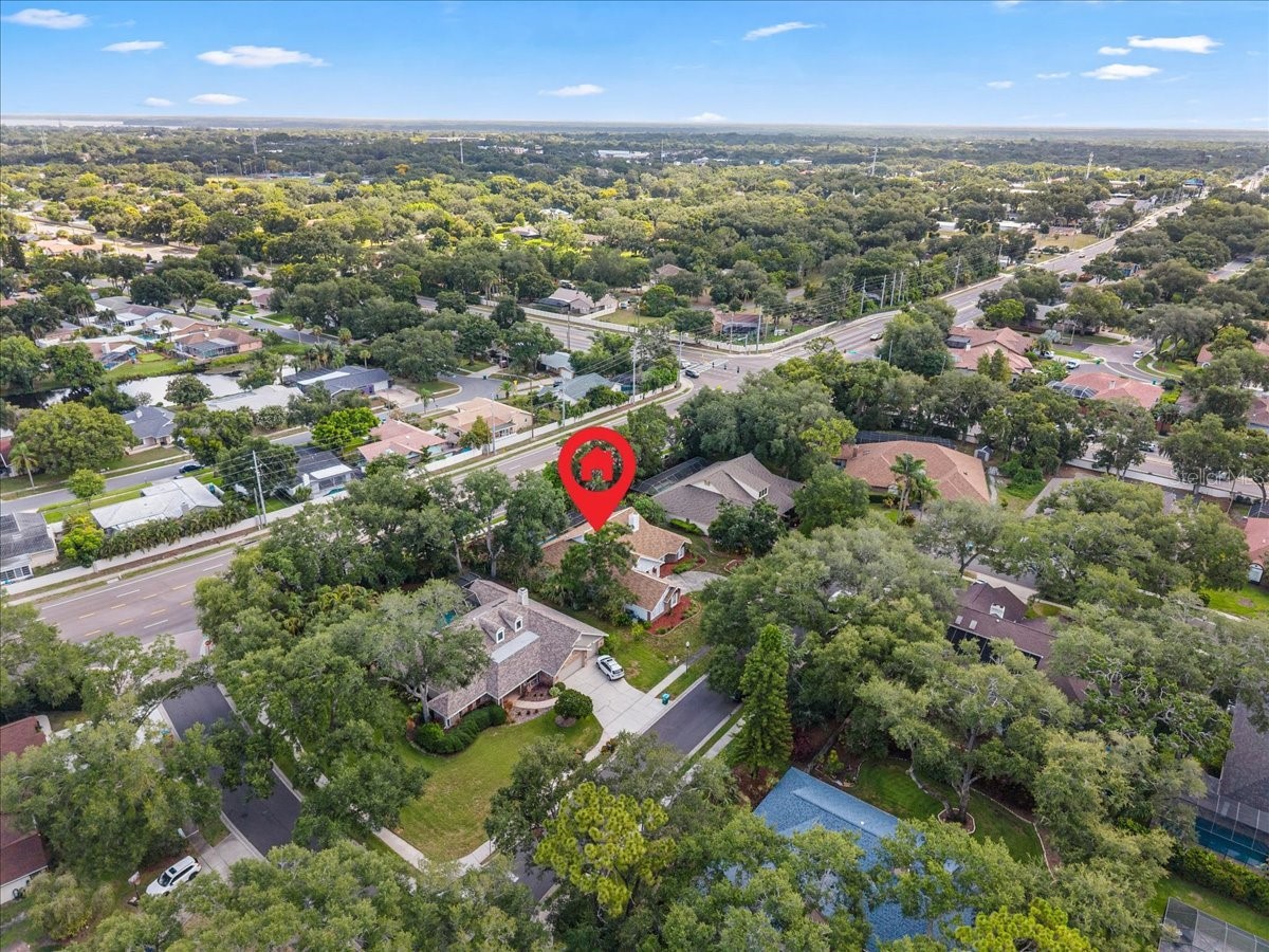 136 Sheffield Circle E Palm Harbor FL 34683 TB8512808 image70