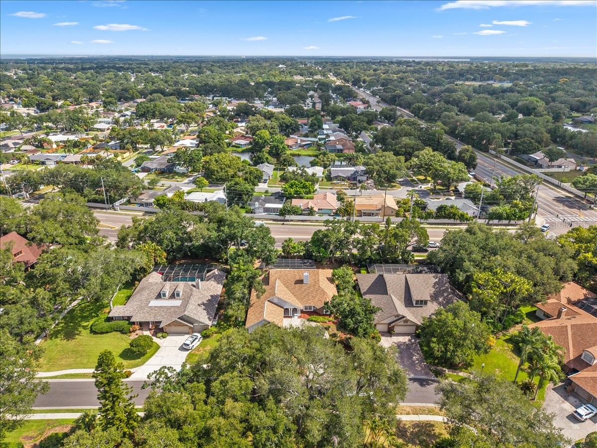 136 Sheffield Circle E Palm Harbor FL 34683 TB8512808 image71