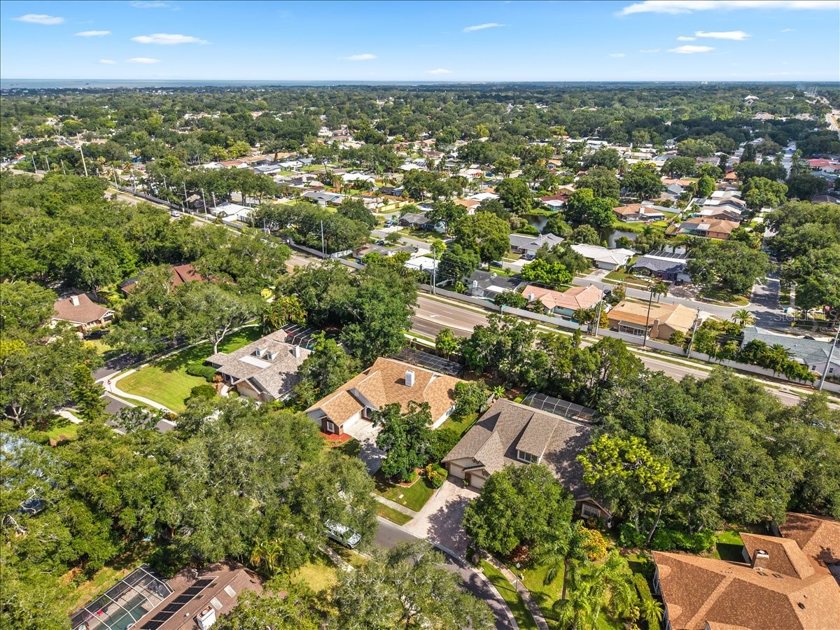 136 Sheffield Circle E Palm Harbor FL 34683 TB8512808 image72