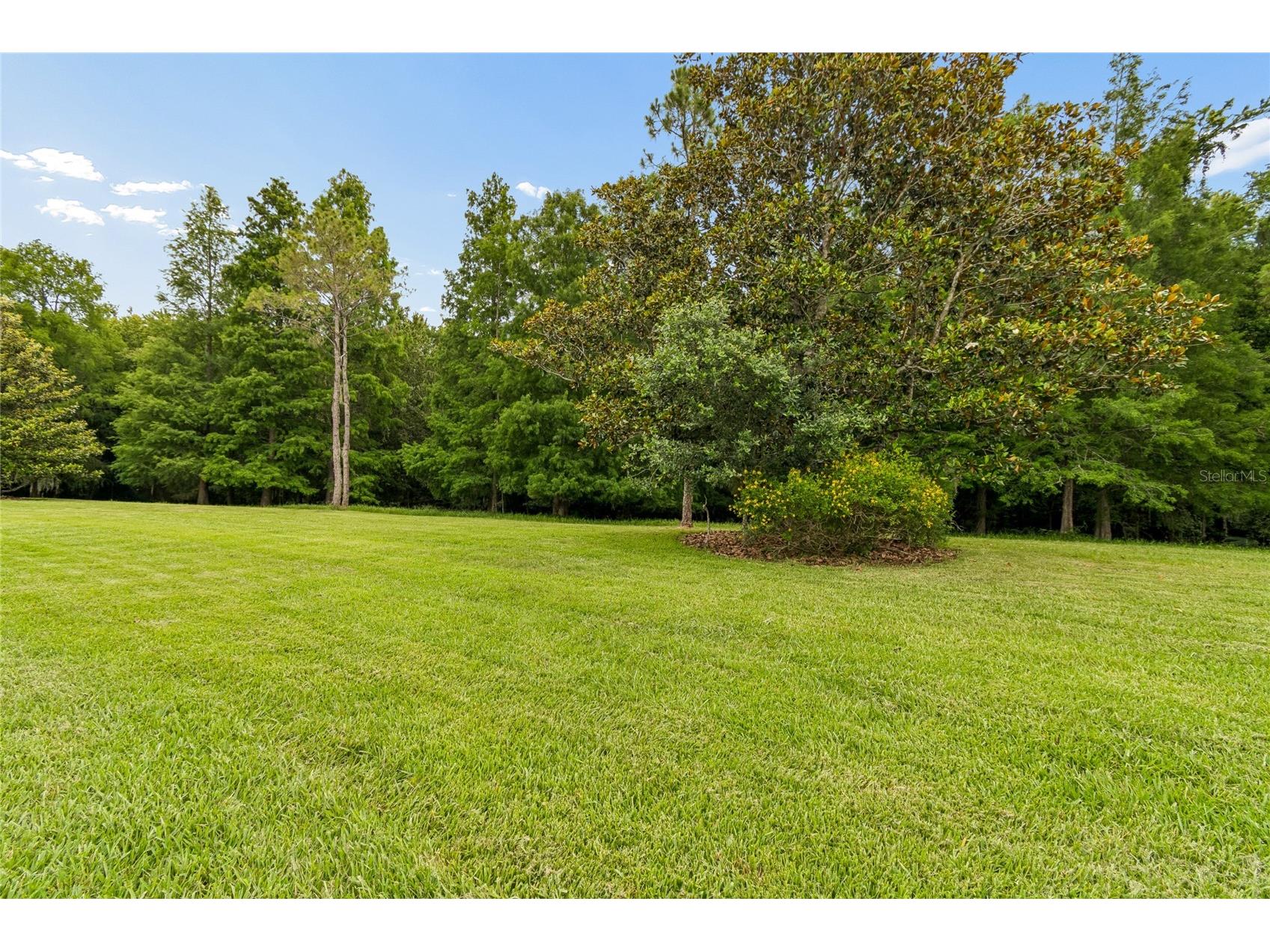 136 Sorrento Rd Poinciana FL 34759 S5151238 image53