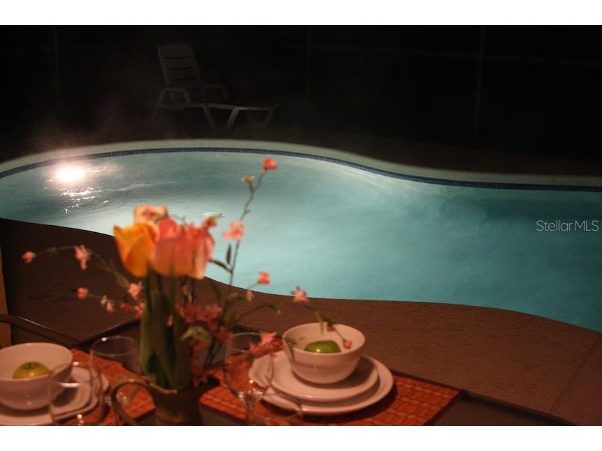 136 Starbird Court Davenport FL 33896 O6402446 image18