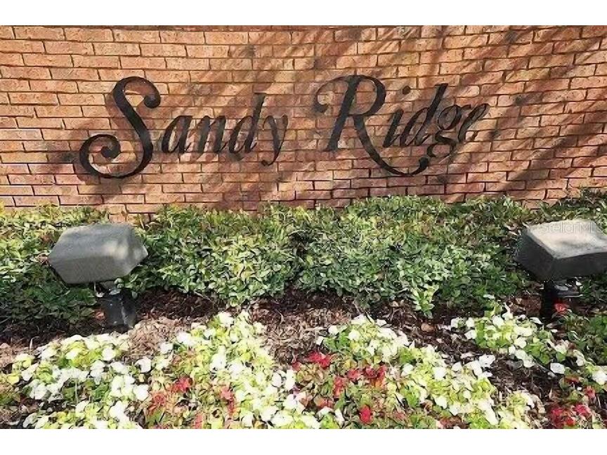 136 Starbird Court Davenport FL 33896 O6402446 image19