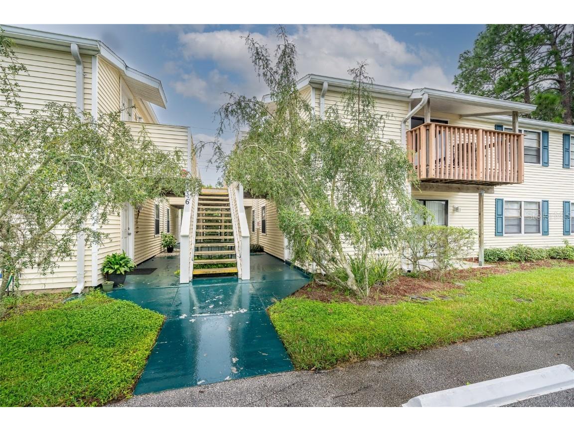 136 Sycamore Lane #A Oldsmar FL 34677 T3330212 image1