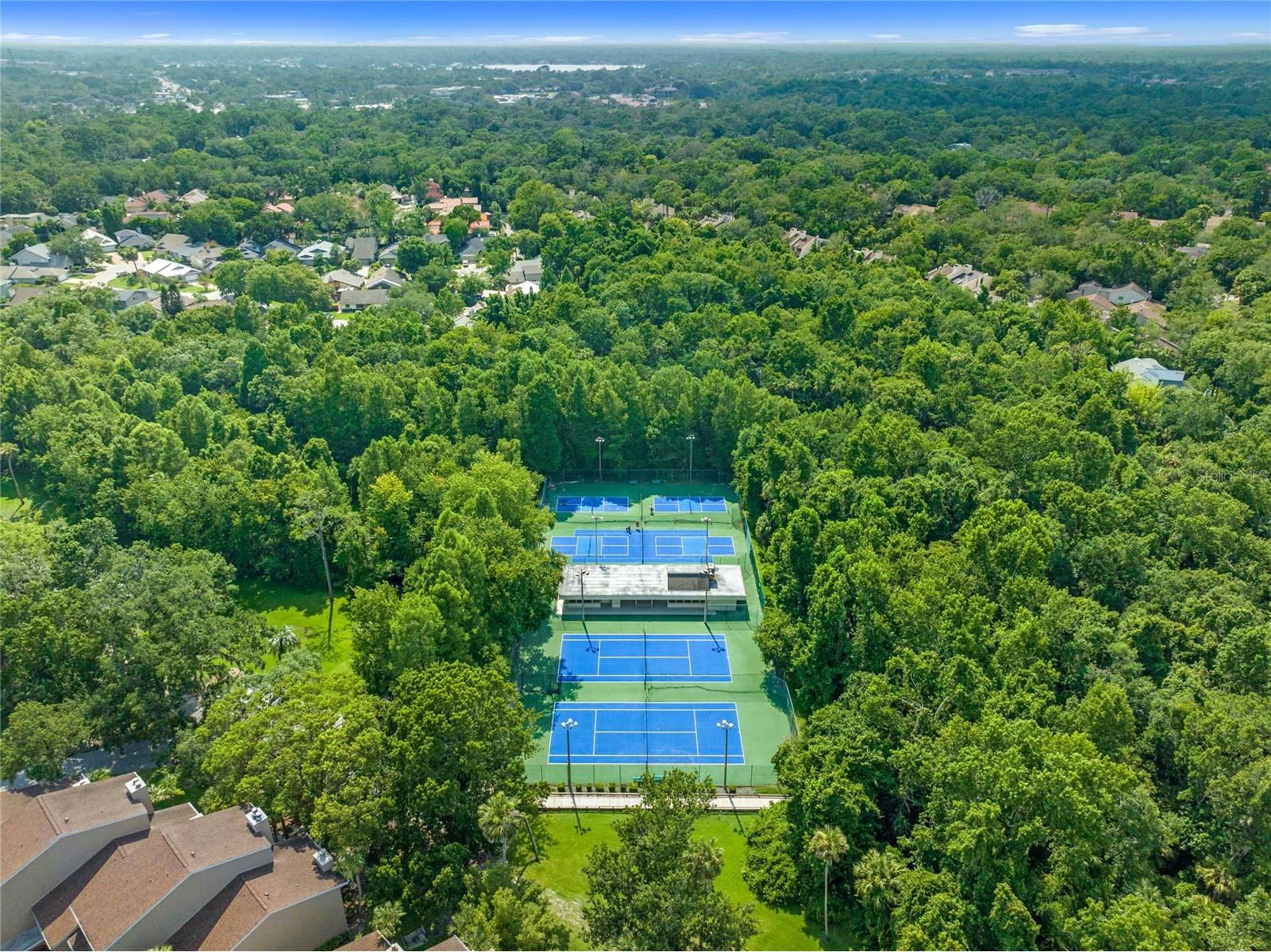 136 Wisteria Drive Longwood FL 32779 O6406374 image45