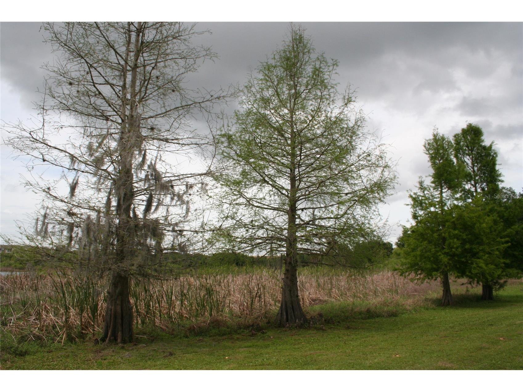 136 Wood Ridge Trail Sanford FL 32771 - Twin Lakes O6396548 image11