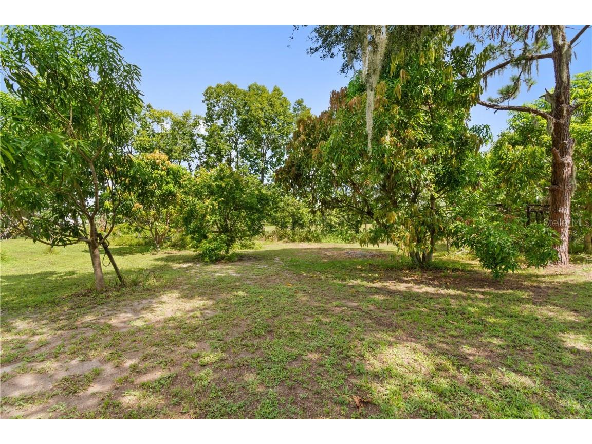 1360 Collany Lane Frostproof FL 33843 P4936063 image21