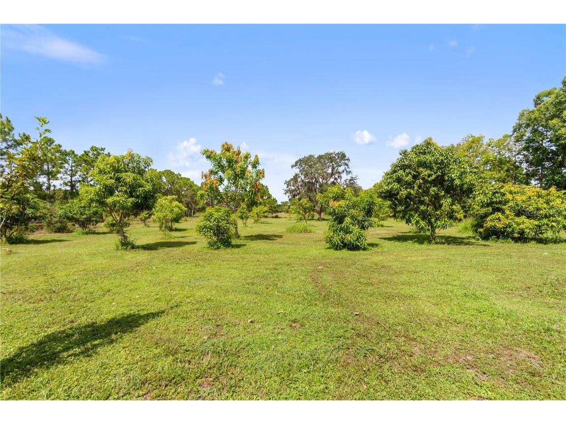 1360 Collany Lane Frostproof FL 33843 P4936063 image22