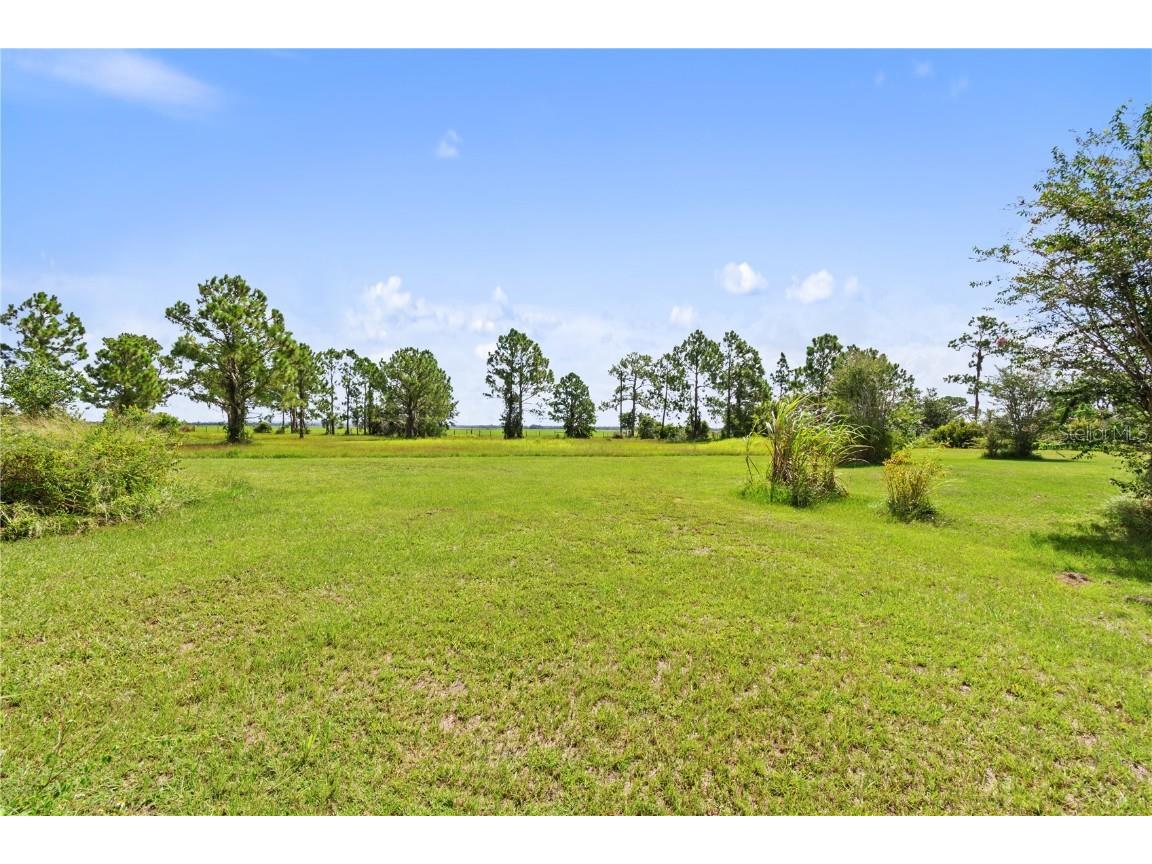 1360 Collany Lane Frostproof FL 33843 P4936063 image27