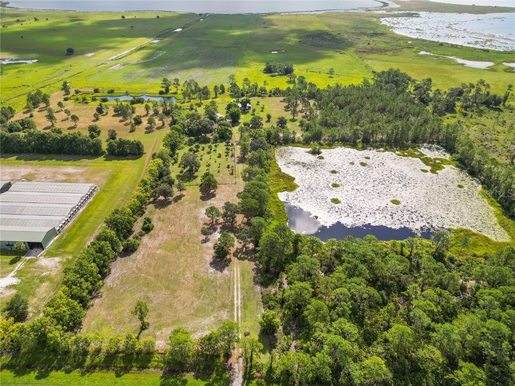 1360 Collany Lane Frostproof FL 33843 P4936063 image33