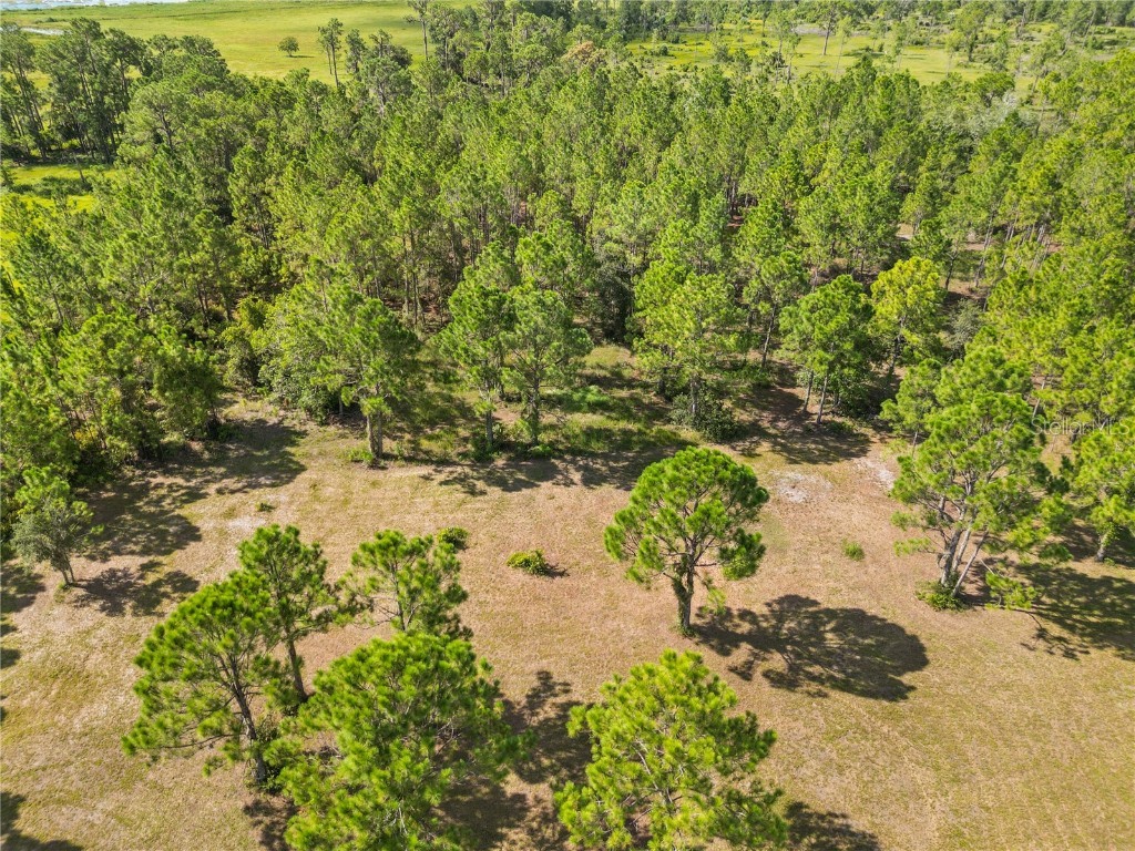 1360 Collany Lane Frostproof FL 33843 P4936063 image41