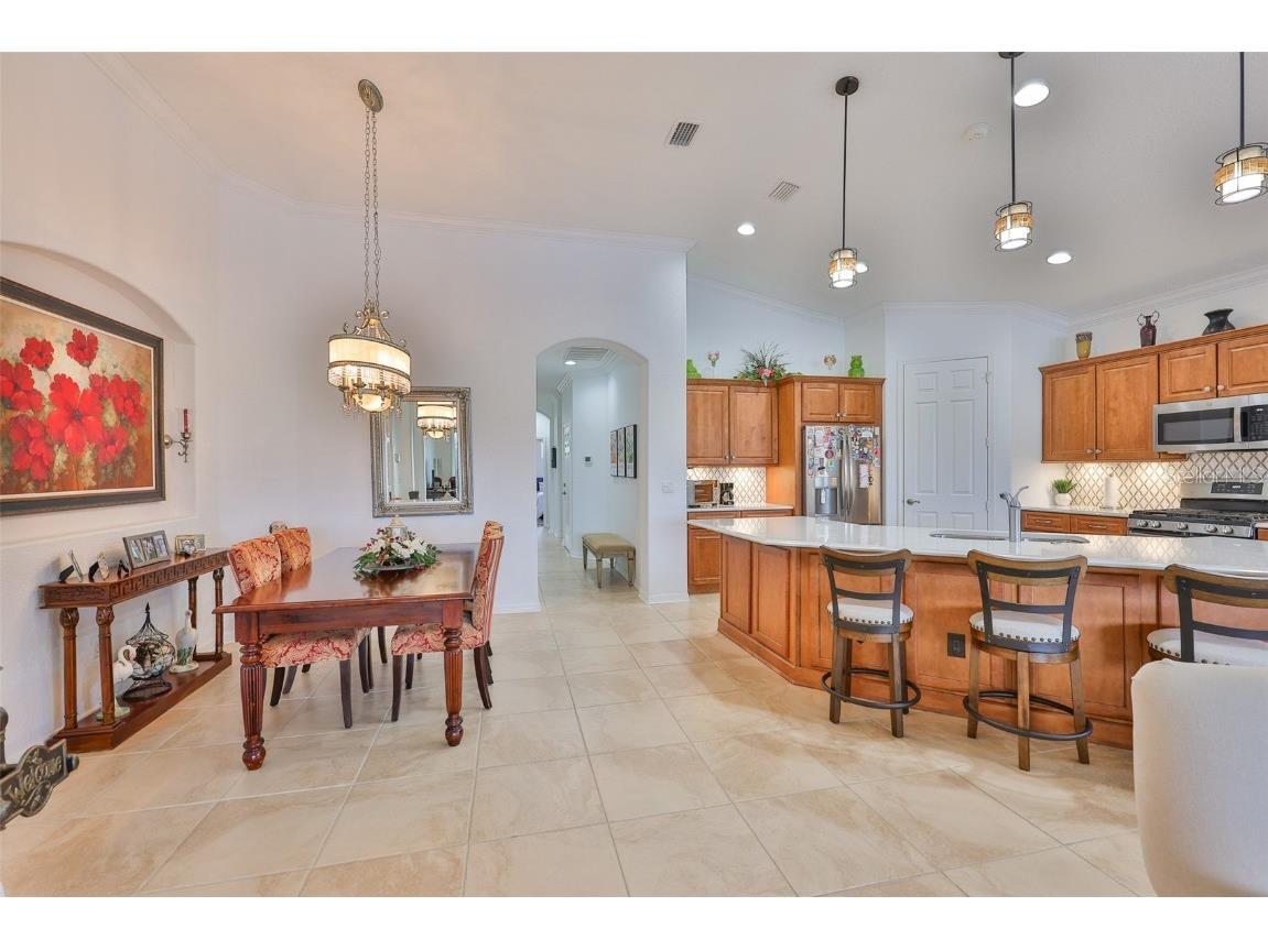 1360 Emerald Dunes Drive Sun City Center FL 33573 TB8428111 image13