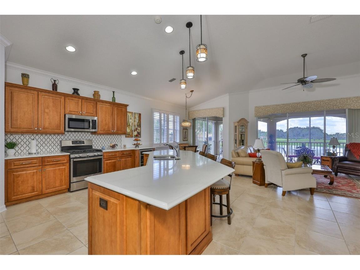 1360 Emerald Dunes Drive Sun City Center FL 33573 TB8428111 image7