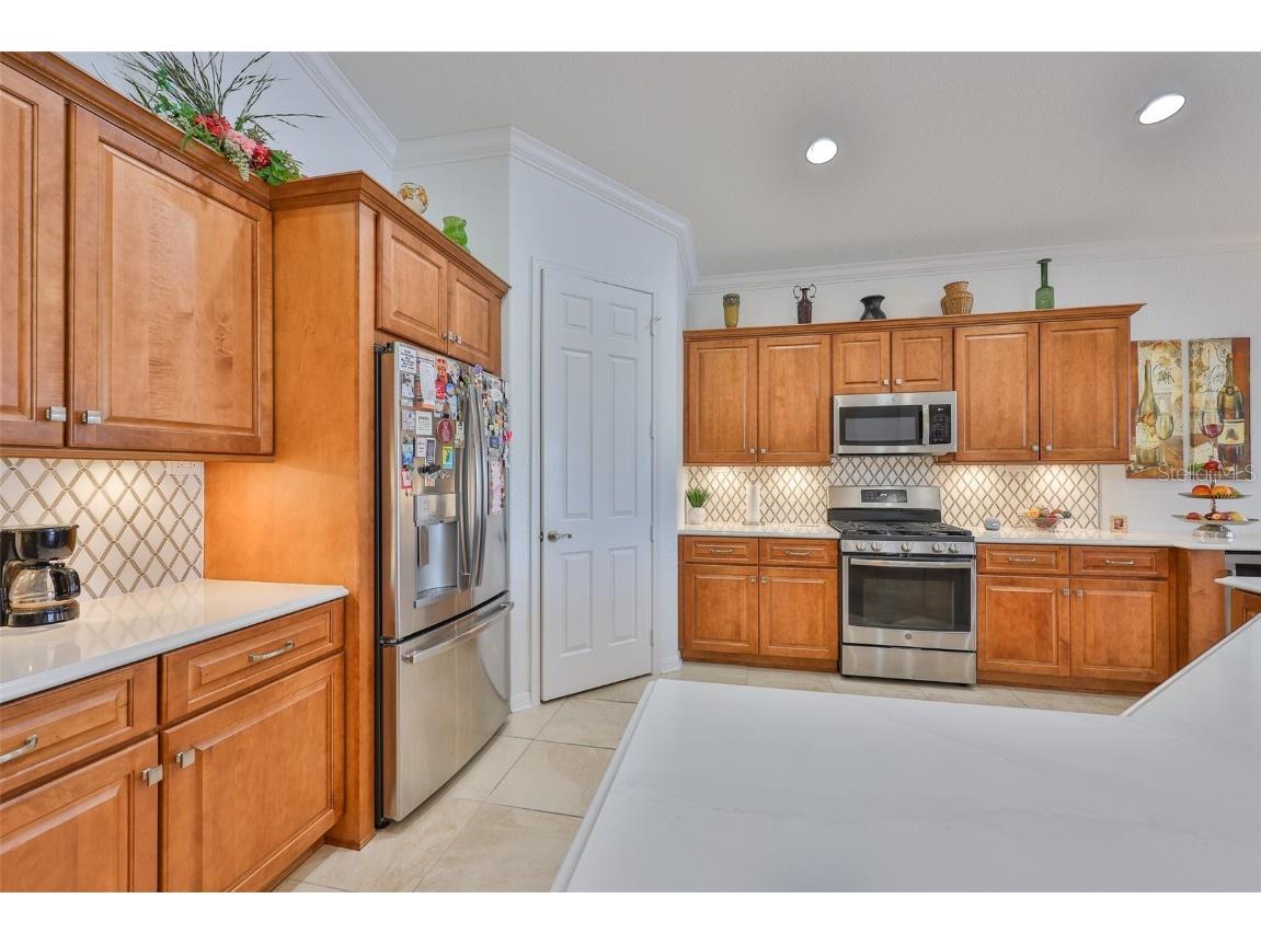 1360 Emerald Dunes Drive Sun City Center FL 33573 TB8428111 image8