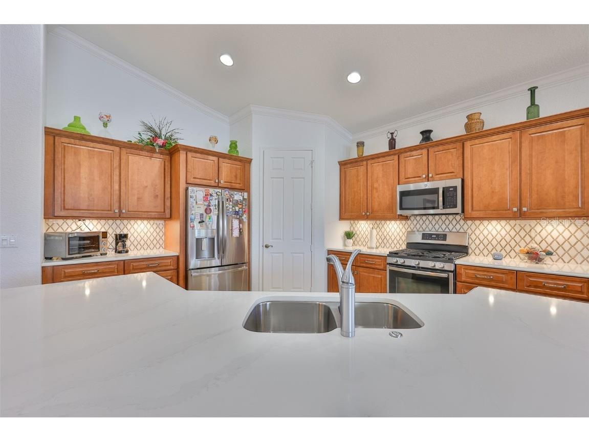 1360 Emerald Dunes Drive Sun City Center FL 33573 TB8428111 image9