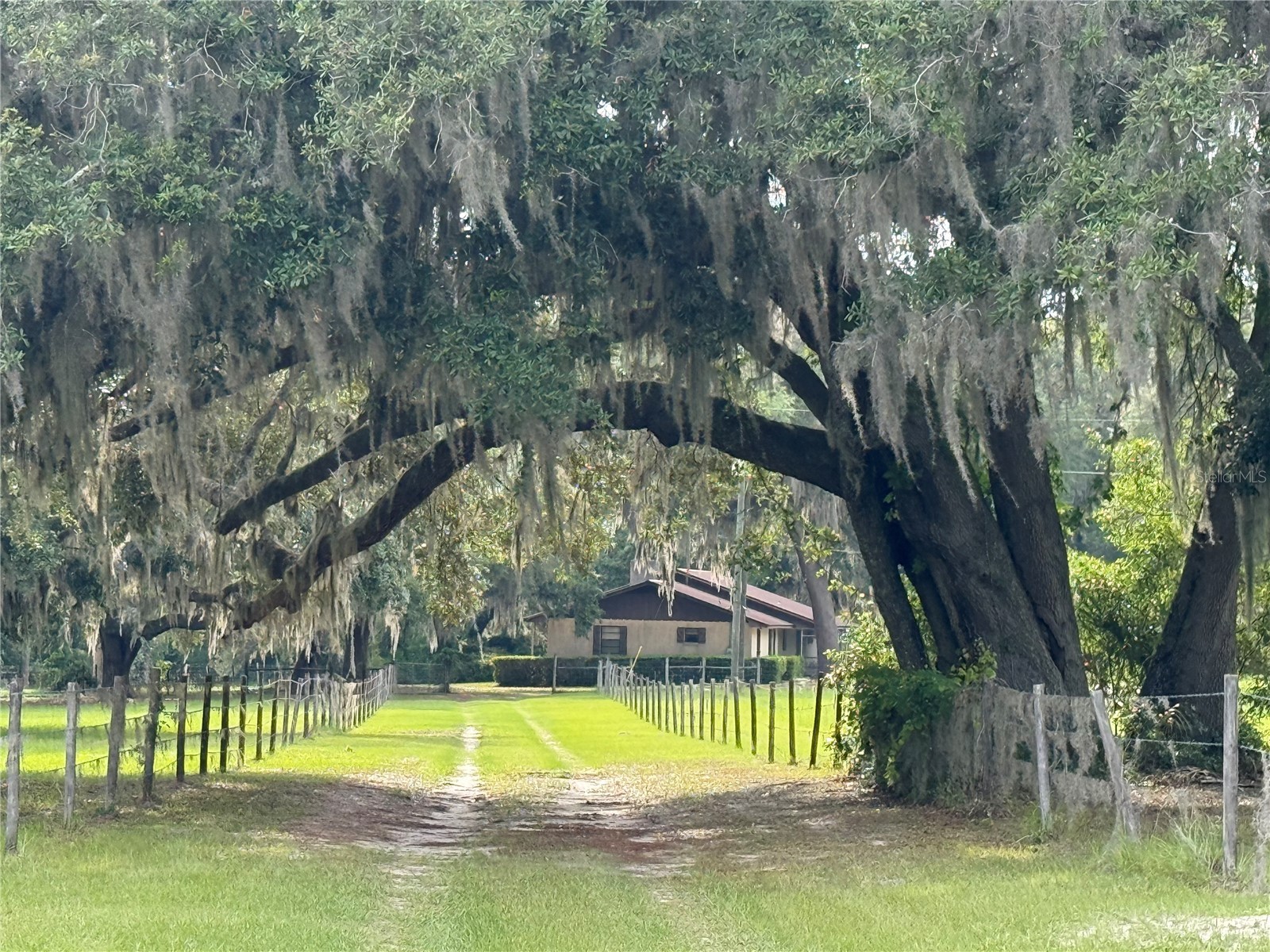 1360 S State Road 19 Palatka FL 32177 OM703128 image1