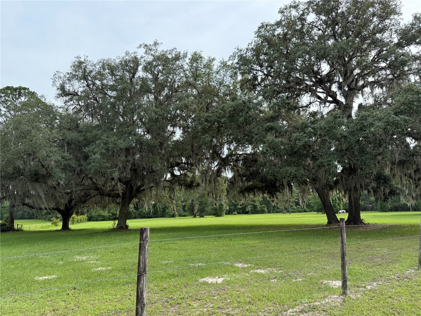 1360 S State Road 19 Palatka FL 32177 OM703128 image11
