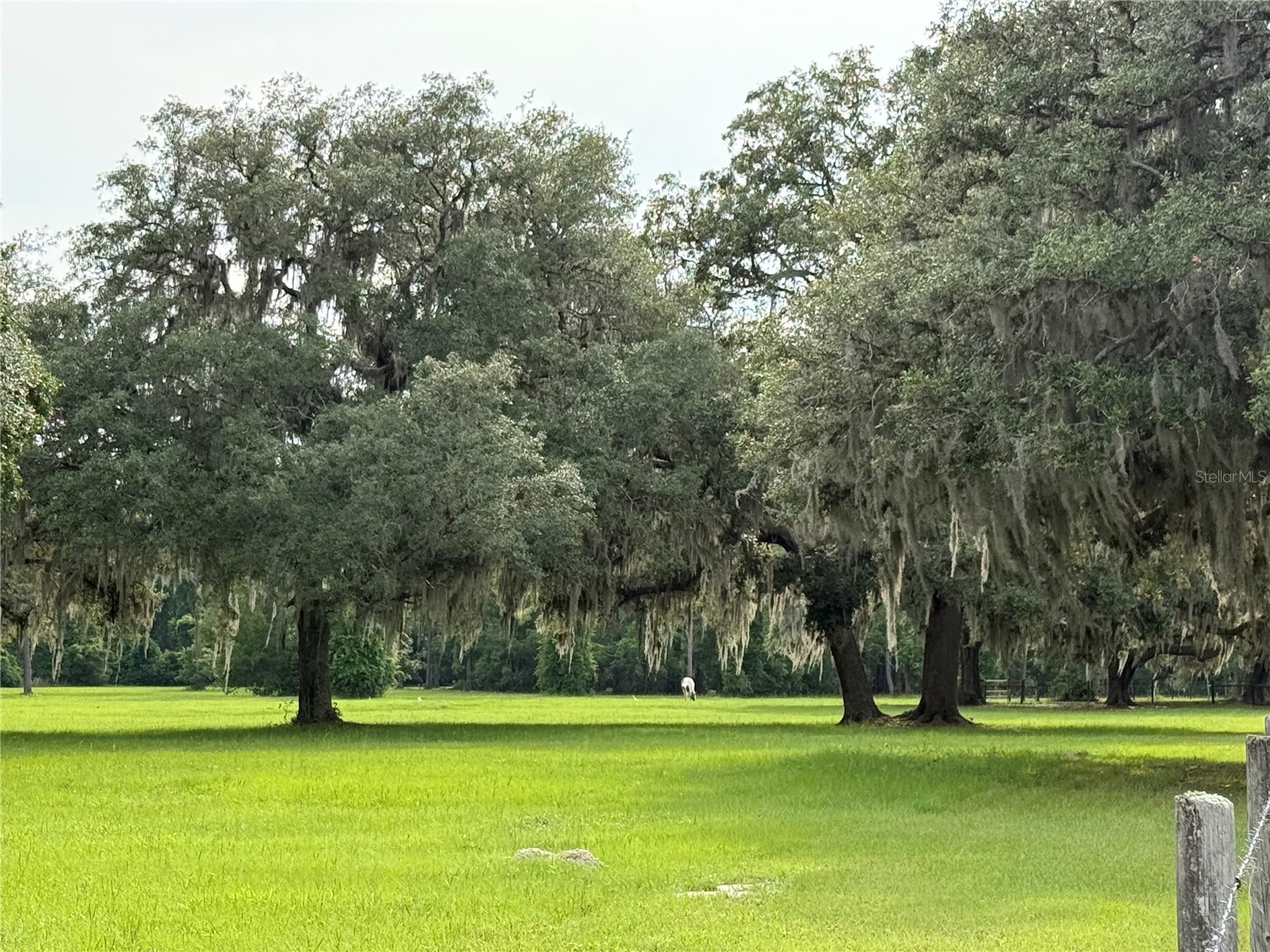 1360 S State Road 19 Palatka FL 32177 OM703128 image17