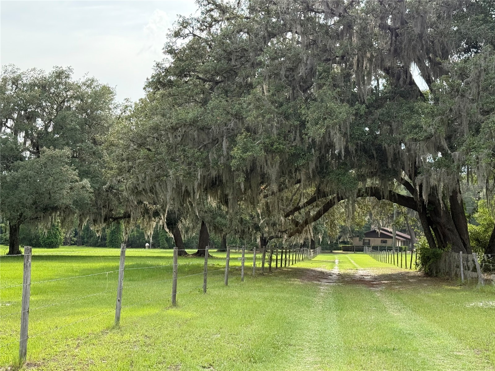 1360 S State Road 19 Palatka FL 32177 OM703128 image18
