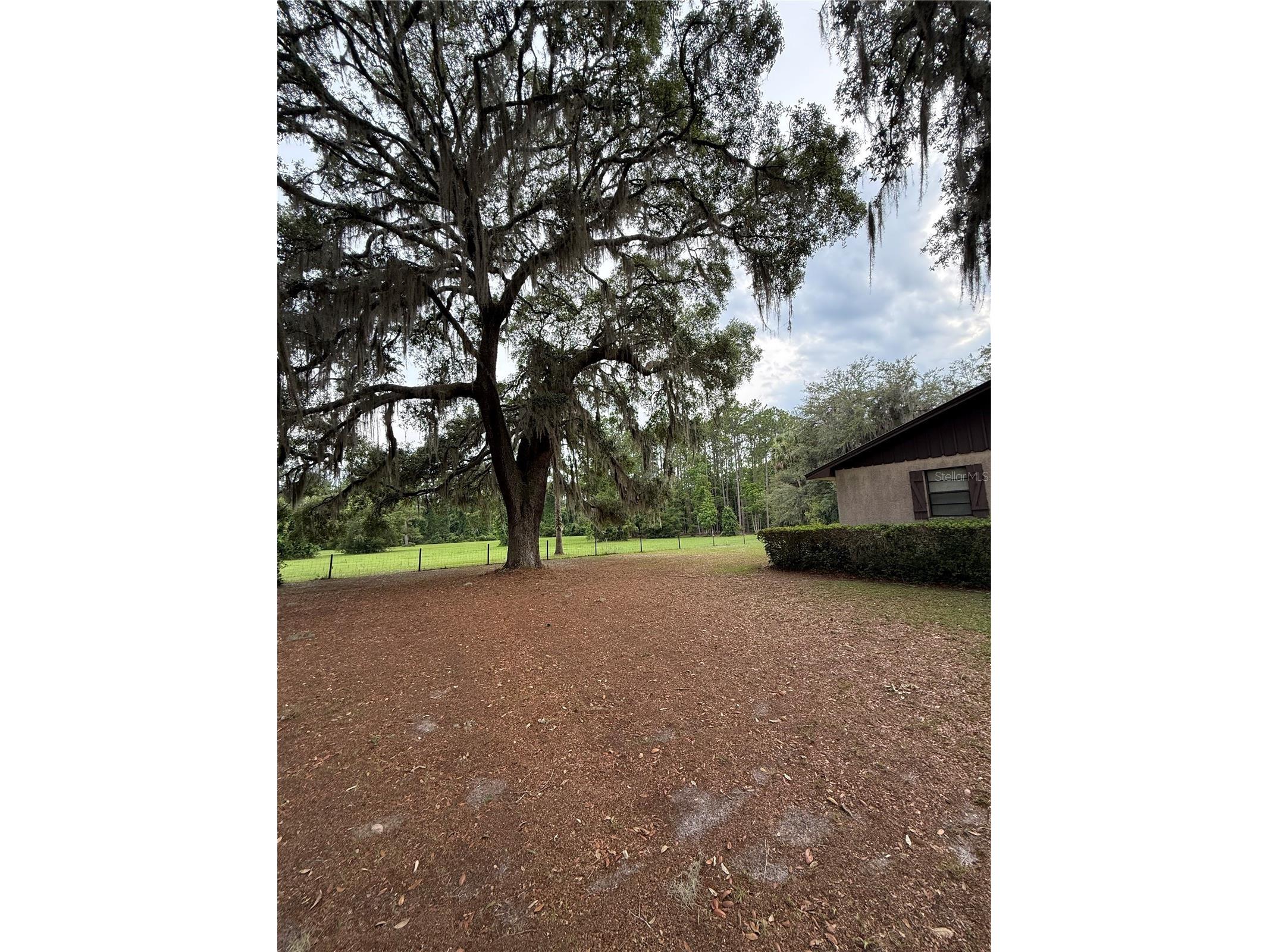1360 S State Road 19 Palatka FL 32177 OM703128 image20