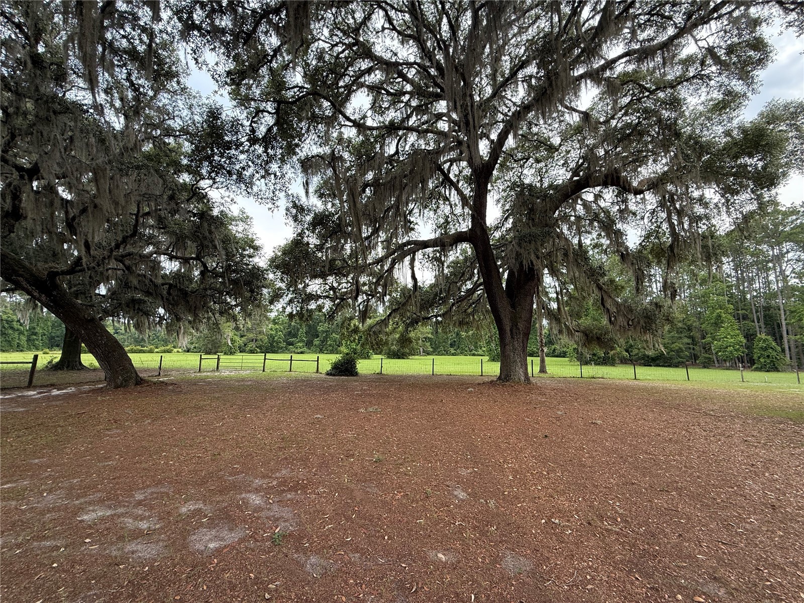 1360 S State Road 19 Palatka FL 32177 OM703128 image21