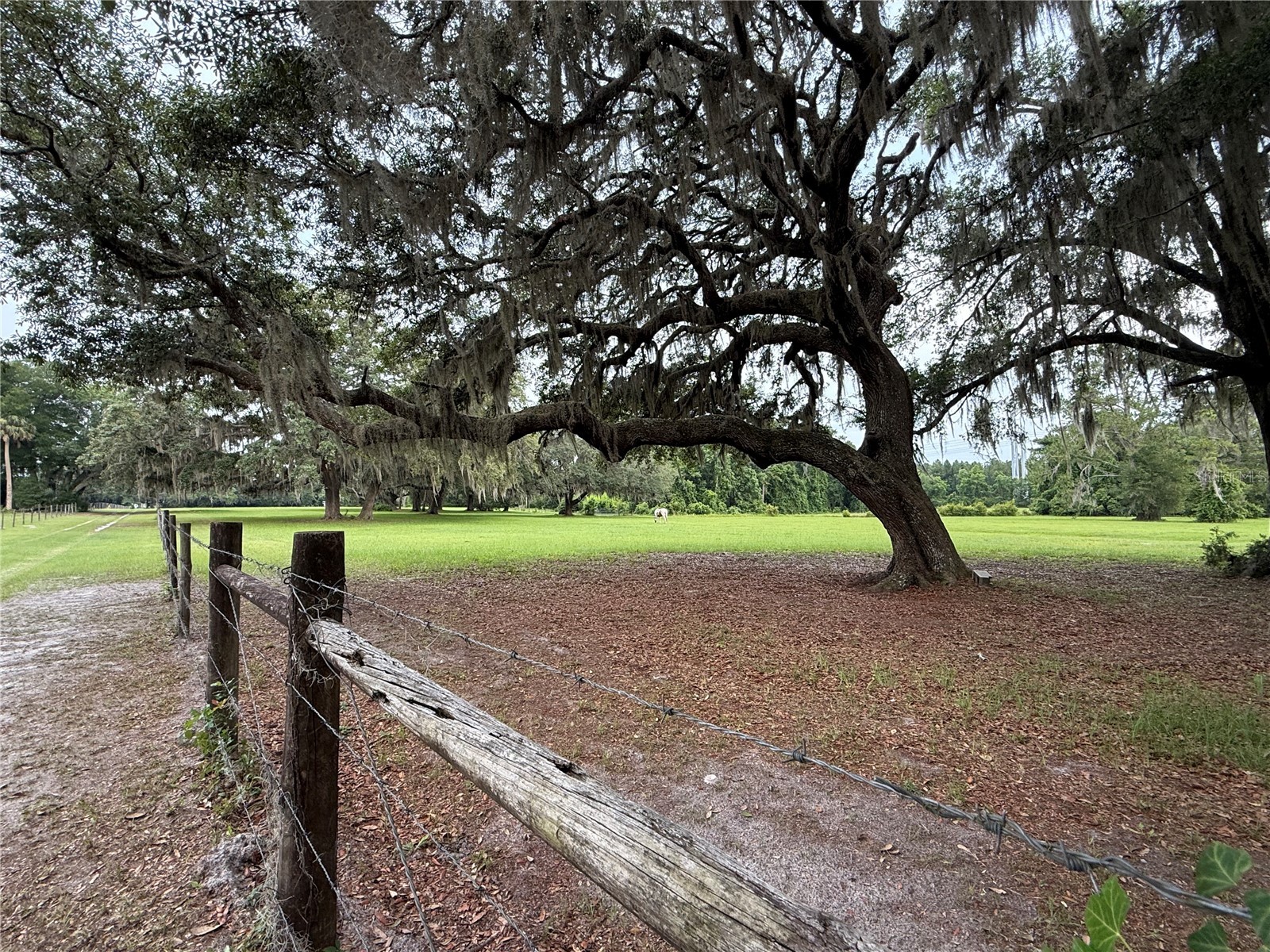1360 S State Road 19 Palatka FL 32177 OM703128 image23