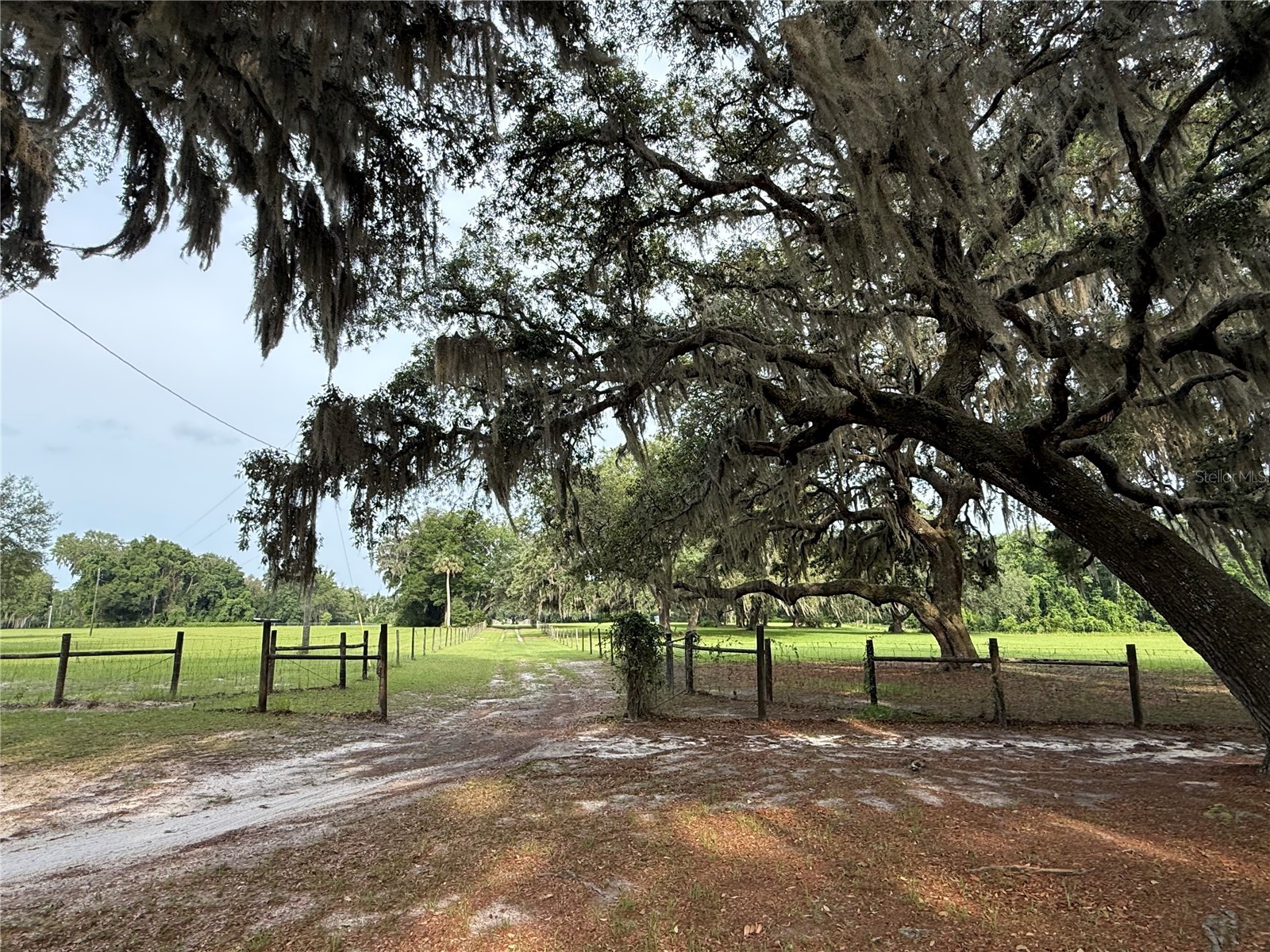 1360 S State Road 19 Palatka FL 32177 OM703128 image24