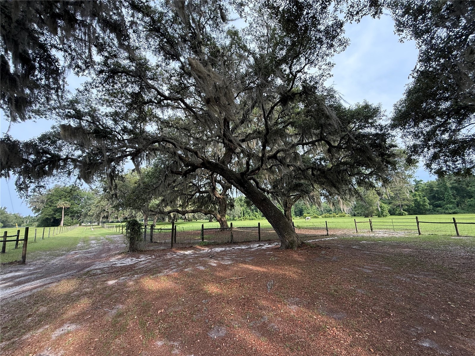 1360 S State Road 19 Palatka FL 32177 OM703128 image25