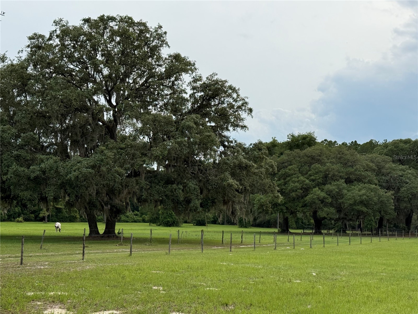 1360 S State Road 19 Palatka FL 32177 OM703128 image26