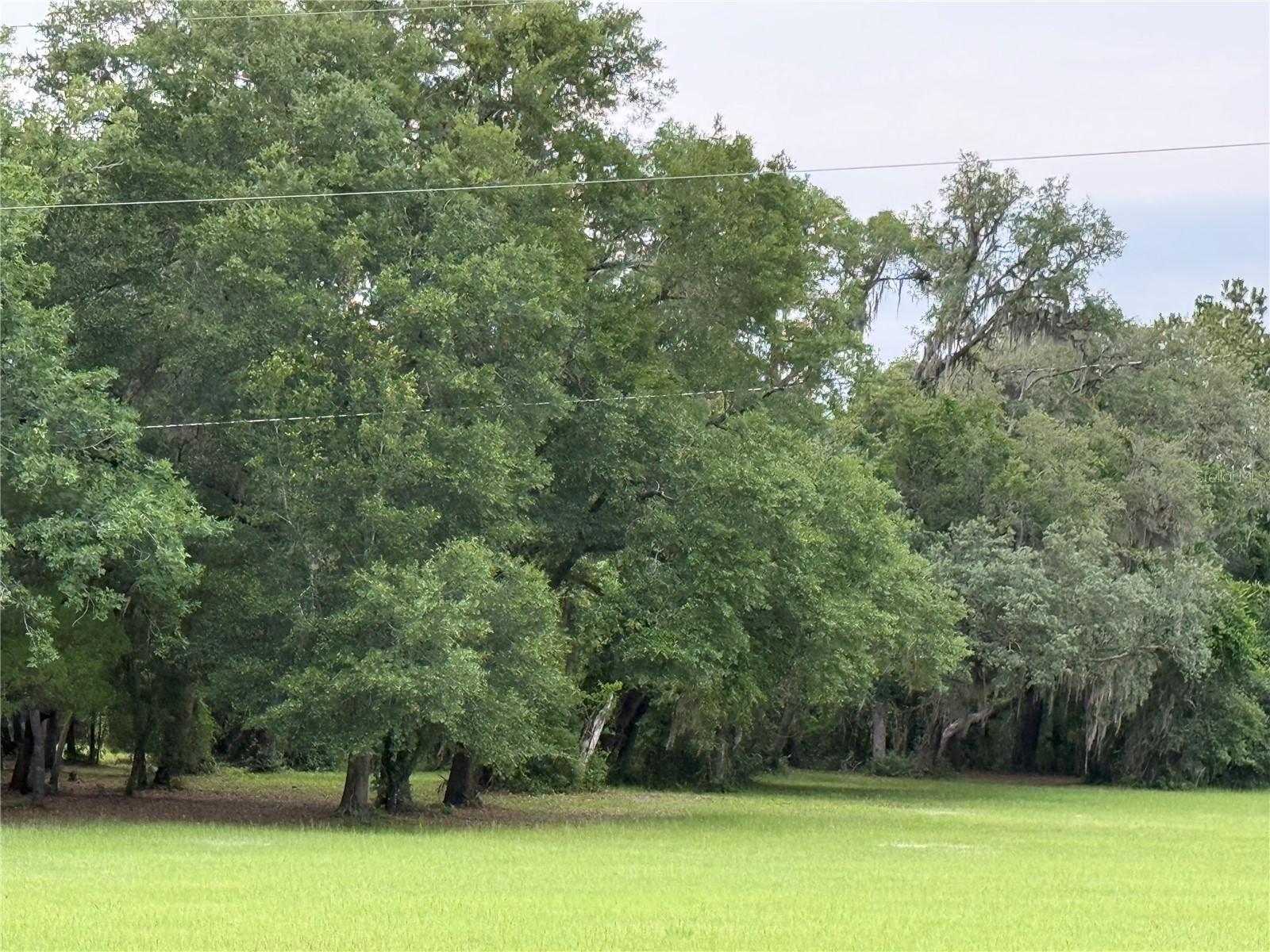 1360 S State Road 19 Palatka FL 32177 OM703128 image27