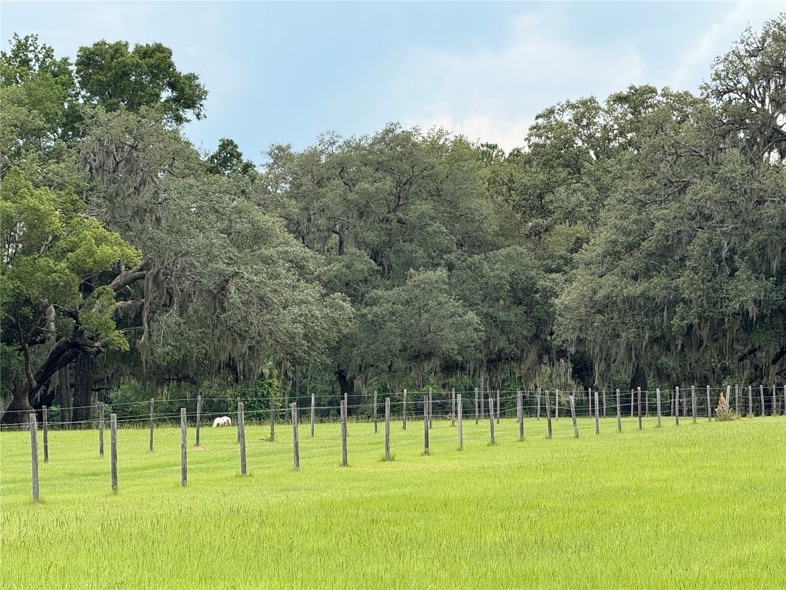 1360 S State Road 19 Palatka FL 32177 OM703128 image28