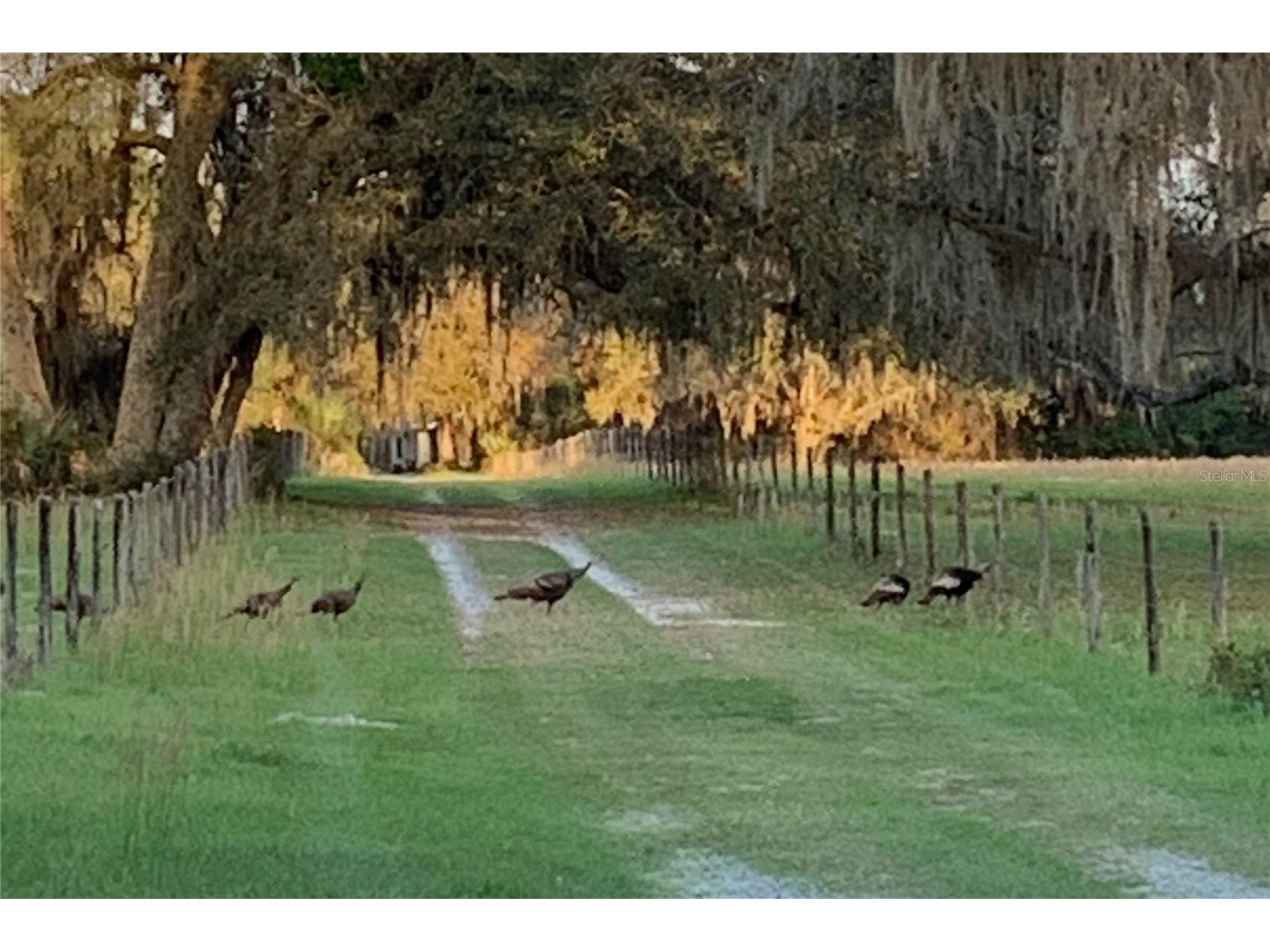 1360 S State Road 19 Palatka FL 32177 OM703128 image3