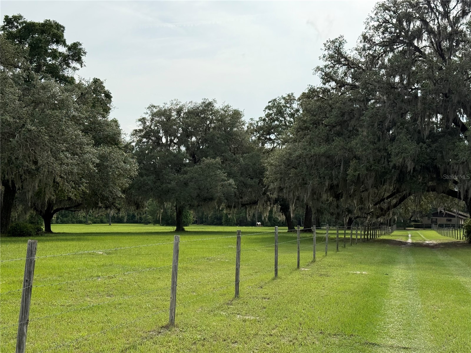 1360 S State Road 19 Palatka FL 32177 OM703128 image30