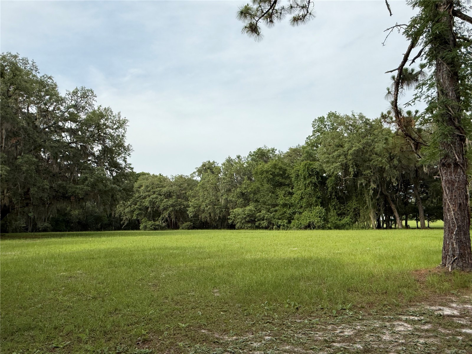1360 S State Road 19 Palatka FL 32177 OM703128 image31