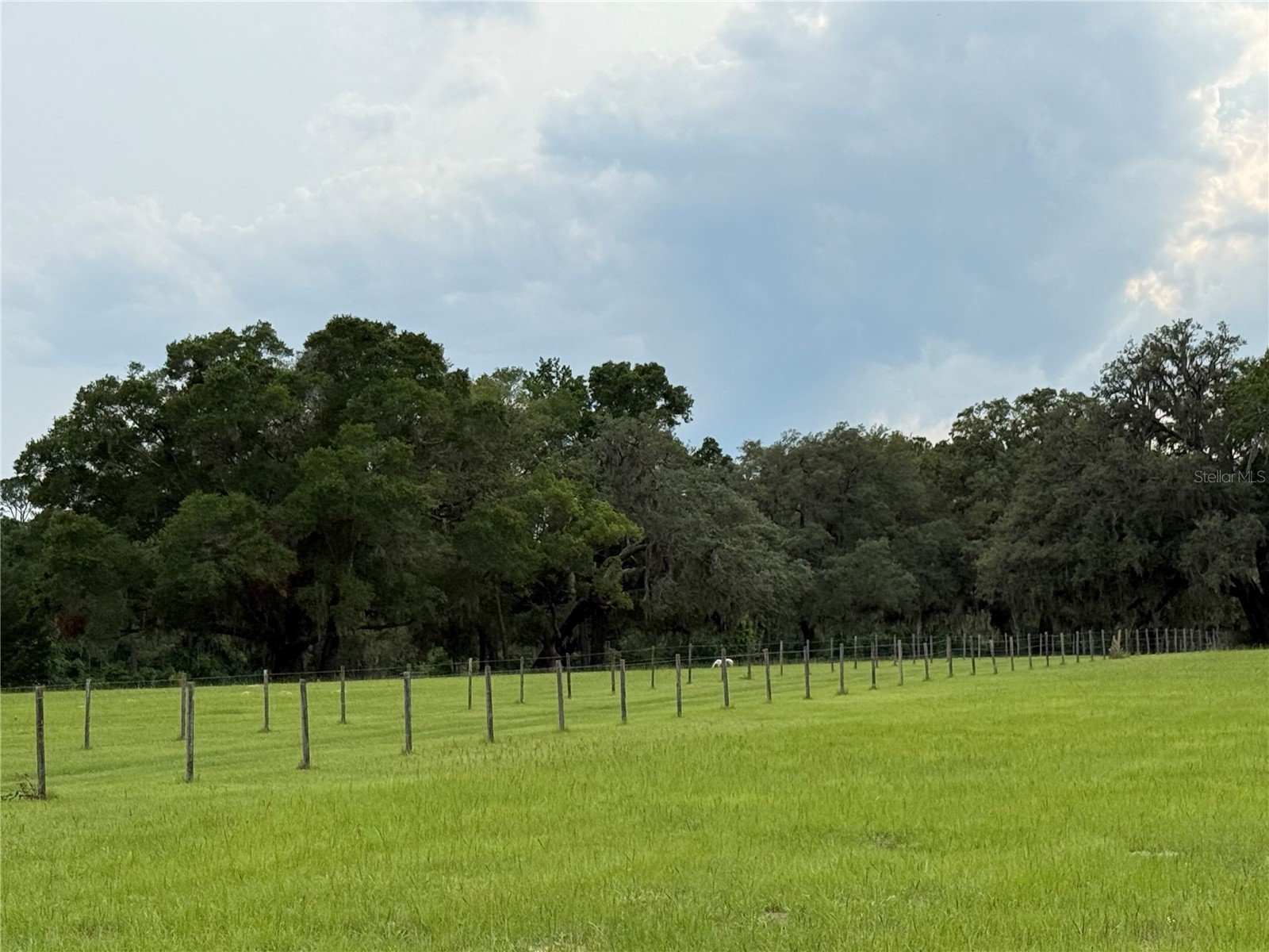 1360 S State Road 19 Palatka FL 32177 OM703128 image32