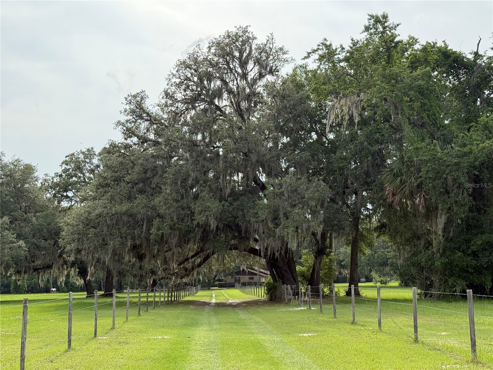1360 S State Road 19 Palatka FL 32177 OM703128 image33